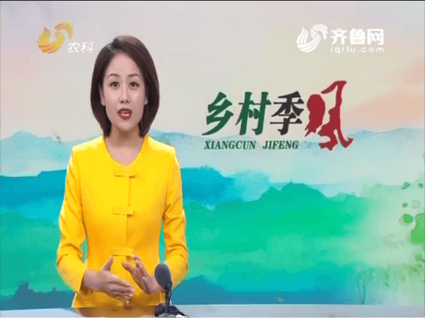 長毛兔——新絨兔，含絨量達80％，一斤絨毛一百二
